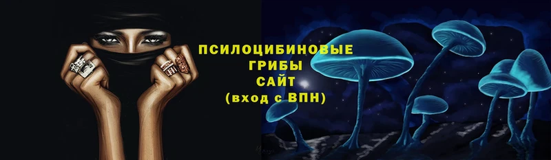 Галлюциногенные грибы Cubensis  купить  сайты  Лангепас 